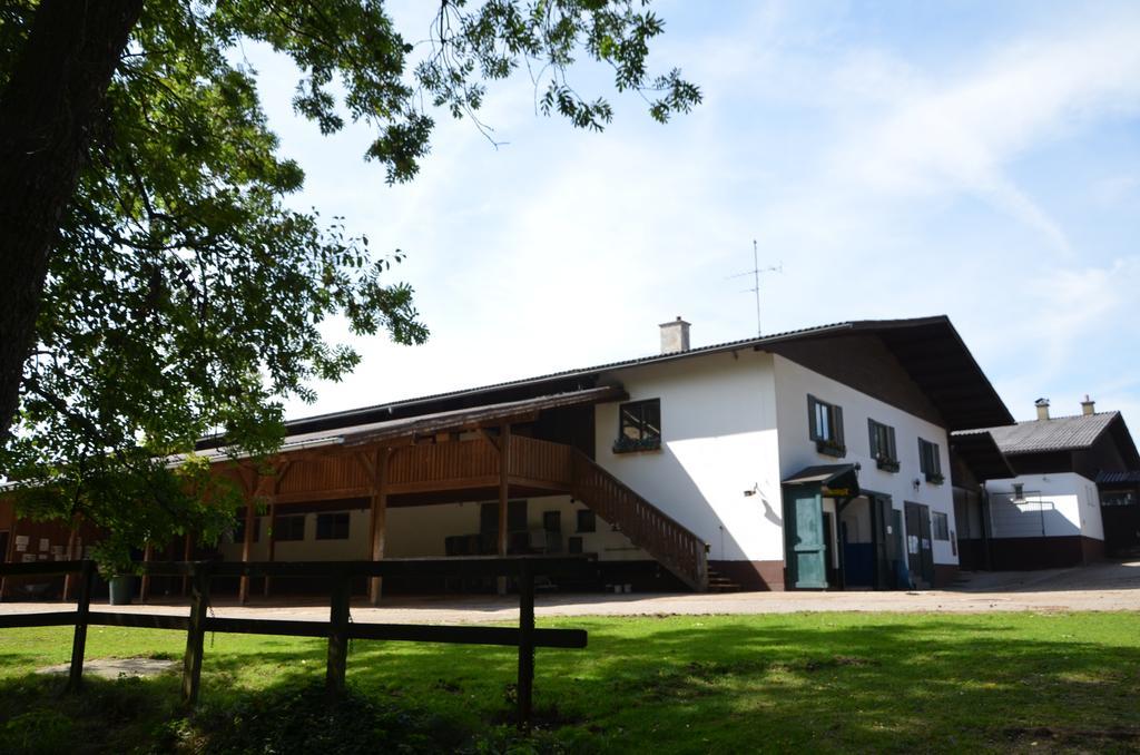 Hotel Reitzentrum Hausruckhof Ampflwang im Hausruckwald Εξωτερικό φωτογραφία