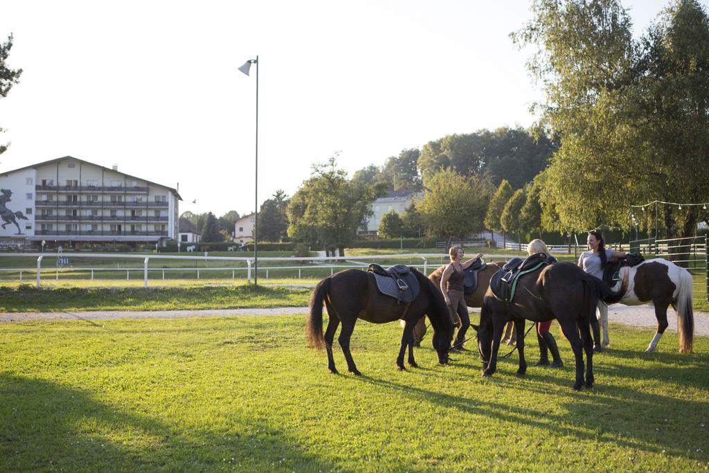 Hotel Reitzentrum Hausruckhof Ampflwang im Hausruckwald Εξωτερικό φωτογραφία